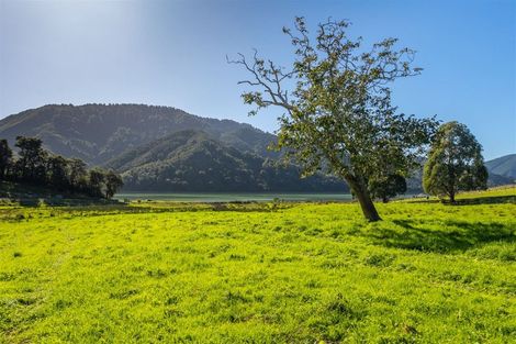 Photo of property in 888 Queen Charlotte Drive, Linkwater, 7281