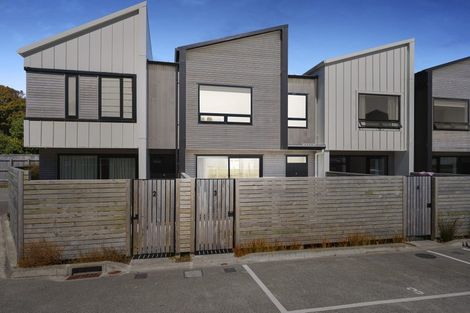 Photo of property in 300 Inglefield Street, Pirongia, Te Awamutu, 3876