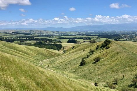 Photo of property in 10 Ranginui Drive, Kaiapoi, 7630