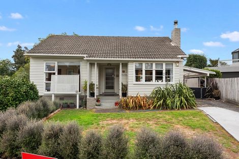 Photo of property in 59 Plunket Terrace, Hamilton East, Hamilton, 3216