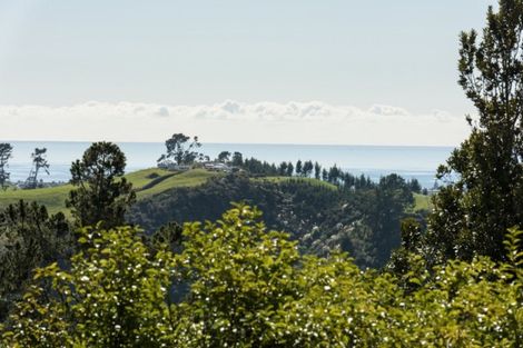 Photo of property in 217 Rocky Cutting Road, Waitao, Tauranga, 3175
