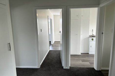 Photo of property in 31 Coronation Street, Spreydon, Christchurch, 8024