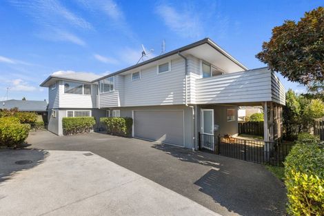 Photo of property in 3b Pillans Road, Otumoetai, Tauranga, 3110