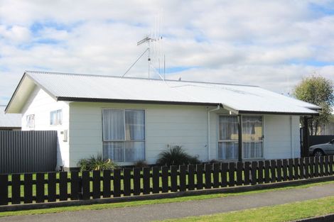 Photo of property in 17 Vogel Street, Levin, 5510