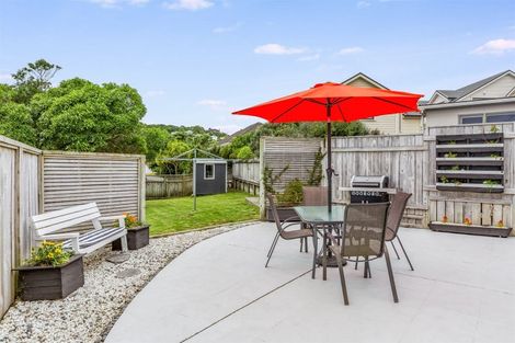 Photo of property in 4 Rodney Street, Northland, Wellington, 6012