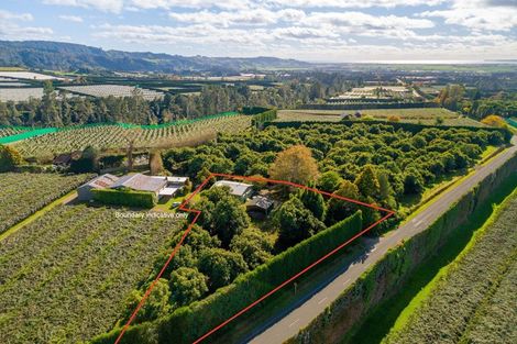 Photo of property in 472 No 3 Road, Te Puke, 3183