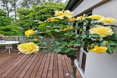 Photo of property in 344 Tramway Road, Leeston, 7682