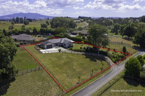 Photo of property in 8e Forkert Road, Ohaupo, 3803