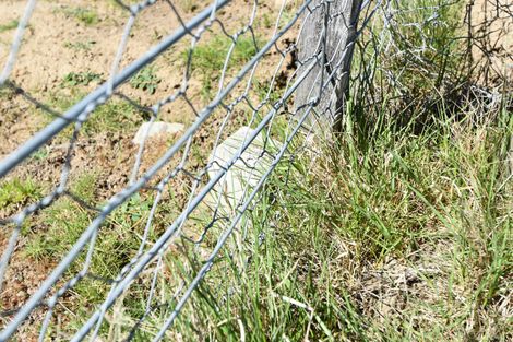 Photo of property in 5 Harris Place, Twizel, 7901