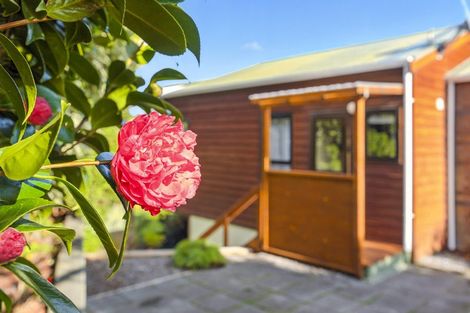 Photo of property in 38a Poplar Avenue, Raumati South, Paraparaumu, 5032
