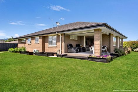 Photo of property in 11 Ngaio Street, Levin, 5510