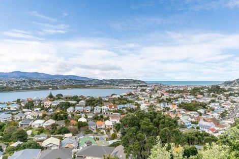 Photo of property in 95 Rakau Road, Hataitai, Wellington, 6021