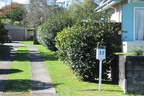 Photo of property in 37 East Grampian Street, Tokoroa, 3420