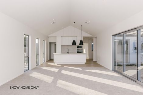 Photo of property in 161a Pharazyn Street, Maewa, Feilding, 4702