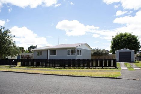 Photo of property in 161 Pollard Drive, Te Awamutu, 3800