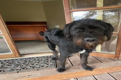 Photo of property in 21 Gillies Crescent, Waimarama, Havelock North, 4294