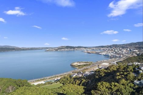 Photo of property in 122b Nicholson Road, Khandallah, Wellington, 6035