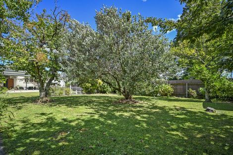 Photo of property in 1012 Waipuna Street, Mahora, Hastings, 4120