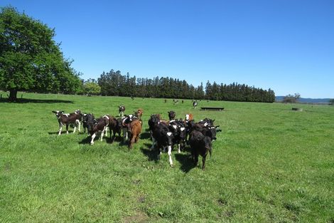 Photo of property in 30 Mathers Road, Hoon Hay, Christchurch, 8025