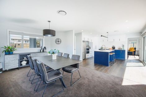 Photo of property in 163a Denbigh Street, Feilding, 4702