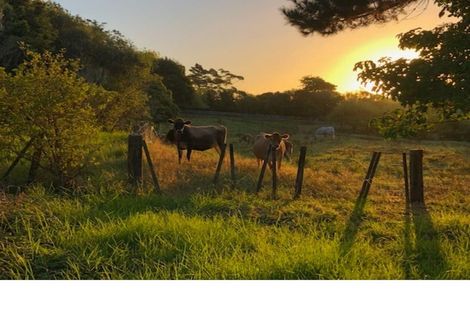 Photo of property in 159 Vaughans Road, Okura, Albany, 0792