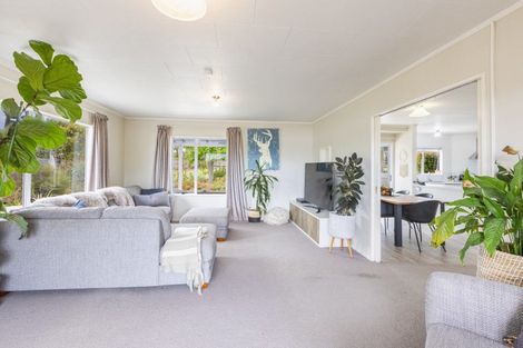 Photo of property in 17 Rose Street, Waipukurau, 4200