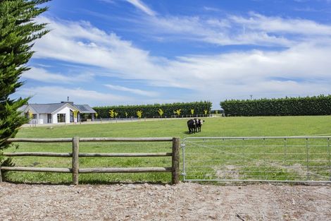 Photo of property in 1228 Loburn Whiterock Road, Loburn, Rangiora, 7472