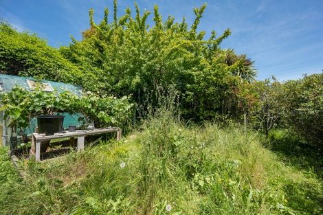 Photo of property in 59 Marlborough Crescent, Richmond, 7020