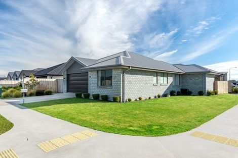 Photo of property in 19 Maggie Street, Kaiapoi, 7630