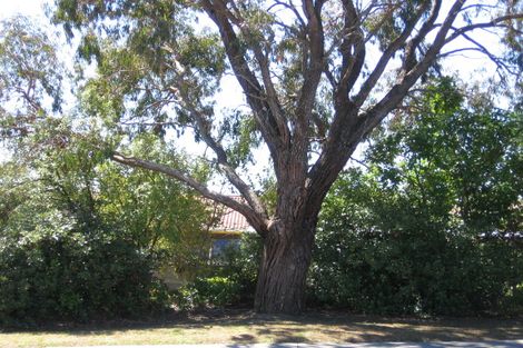 Photo of property in 35 Mayall Avenue, Beach Haven, Auckland, 0626