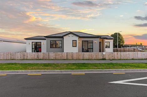 Photo of property in 84 Minhas Road, Papakura, 2110