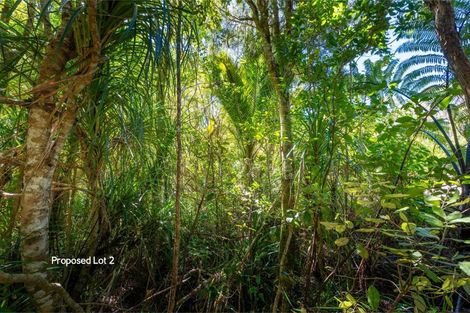 Photo of property in 425 Pakawau-bush Road, Pakawau, Collingwood, 7073