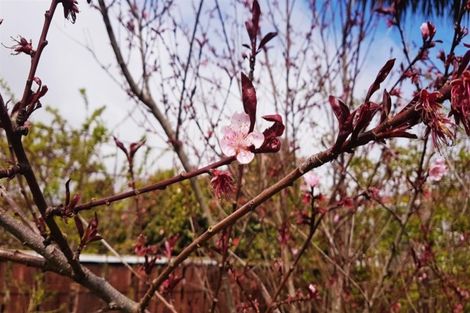 Photo of property in 4 Mclaughlins Lane, Westport, 7825