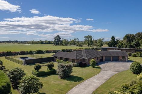 Photo of property in 38 Pohutukawa Drive, Levin, 5571