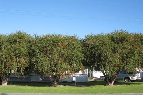 Photo of property in 11 Dominion Road, Te Hapara, Gisborne, 4010
