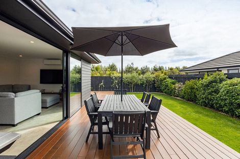 Photo of property in 17 Kereruu Street, Cambridge, 3434