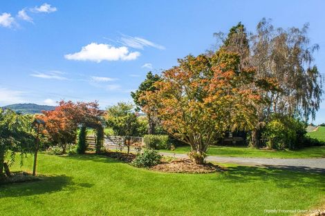 Photo of property in 2105 Glencoe Highway, Hedgehope, Invercargill, 9872