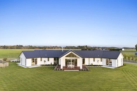 Photo of property in 160 Pharazyn Road, Feilding, 4777
