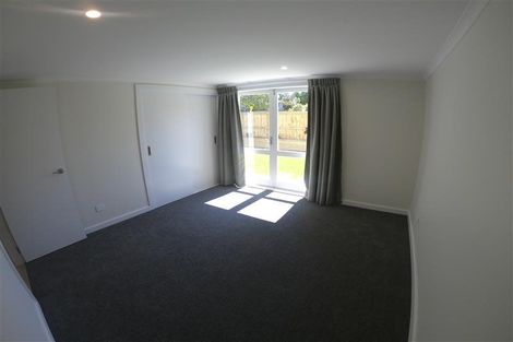 Photo of property in 161 Rimu Street, Maeroa, Hamilton, 3200