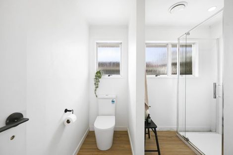 Photo of property in 12a Madison Place, Dinsdale, Hamilton, 3204