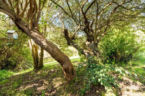 Photo of property in 23 Solar Terrace, Broad Bay, Dunedin, 9014