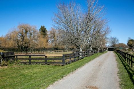 Photo of property in 49 Racecourse Road, Cambridge, 3493