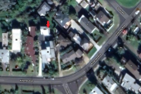 Photo of property in 32 Killarney Avenue, Torbay, Auckland, 0630