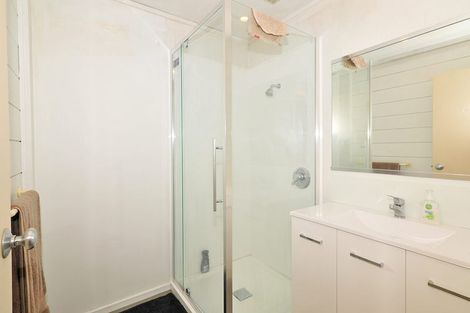 Photo of property in Te Awhina Apartments, 17/22 Sussex Street, Mount Cook, Wellington, 6021