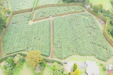 Photo of property in 1395 No 3 Road, Te Puke, 3183