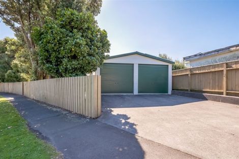 Photo of property in 217 Riverside Drive, Waterloo, Lower Hutt, 5011