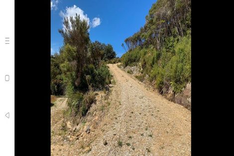Photo of property in 425 Pakawau-bush Road, Pakawau, Collingwood, 7073