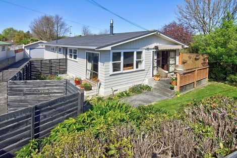 Photo of property in 28 Iorns Street, Masterton, 5810