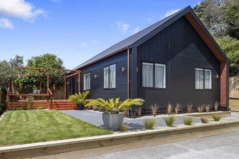Photo of property in 47a Mangorei Road, Strandon, 4312