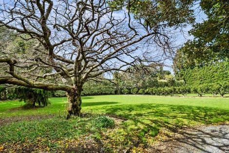 Photo of property in 15b Redwood Lane, Tauriko, Tauranga, 3171